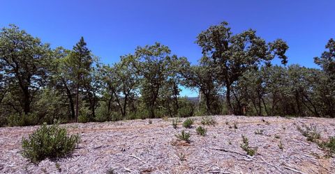 10-acres Big Oak Ct, Placerville, CA 95667 Photo