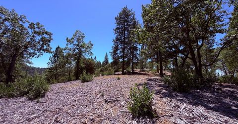 10-acres Big Oak Ct, Placerville, CA 95667 Photo