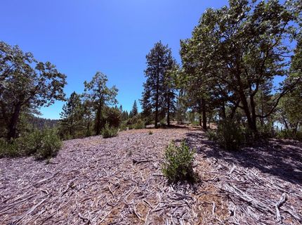 10-acres Big Oak Ct, Placerville, CA 95667 Photo
