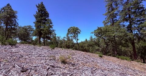 10-acres Big Oak Ct, Placerville, CA 95667 Photo
