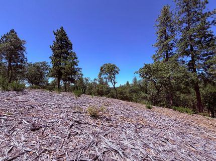 10-acres Big Oak Ct, Placerville, CA 95667 Photo