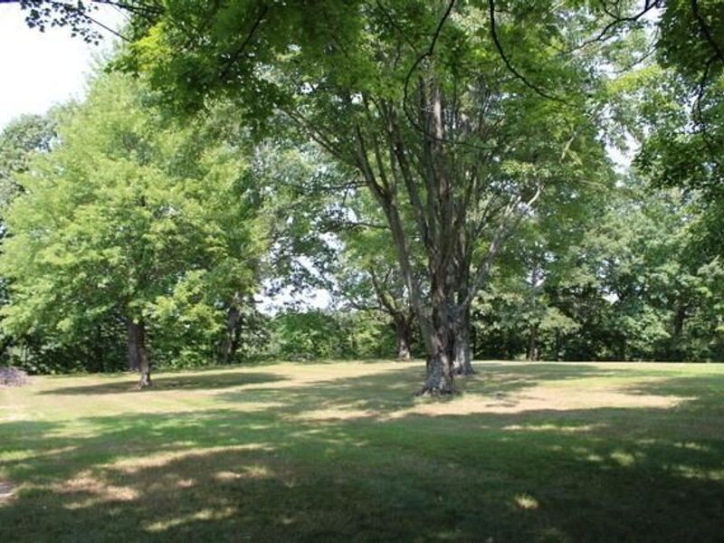 2801 State Highway 529, Cardington, OH 43315 Photo 5