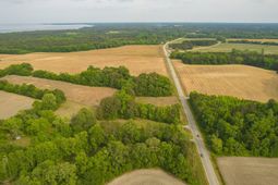 4 Old Number Six Highway photo 4
