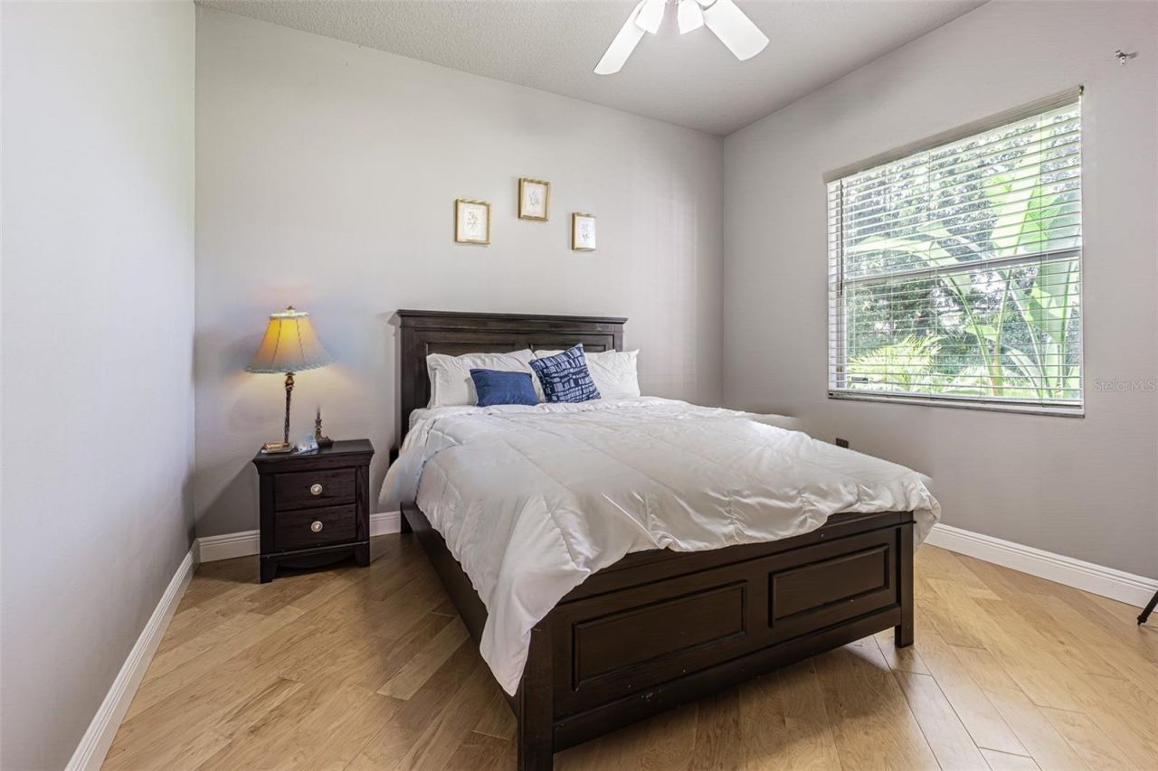 2409 Fox Forest Drive, Lutz, FL 33549 Photo