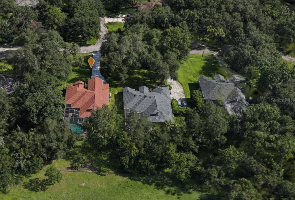 2409 Fox Forest Drive, Lutz, FL 33549 Photo