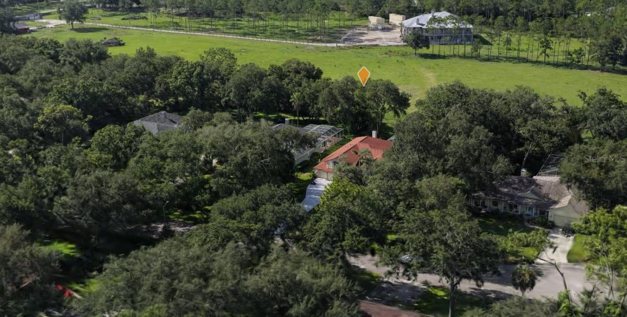 2409 Fox Forest Drive, Lutz, FL 33549 Photo