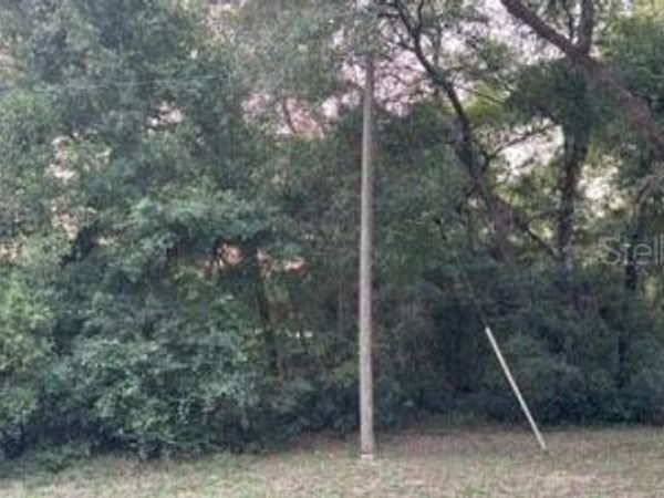 SE 11TH STREET , SILVER SPRINGS, FL 34488