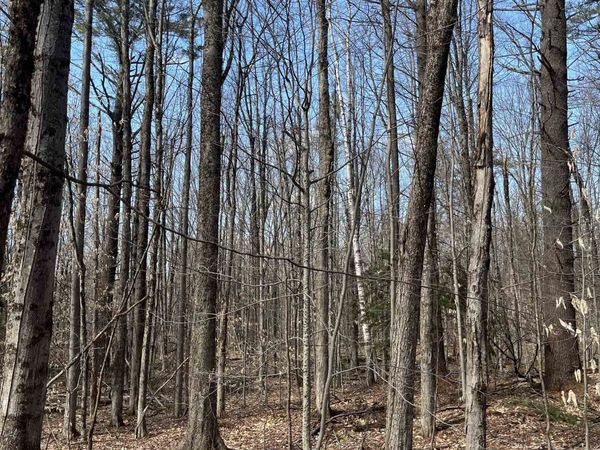 Columbus Jordan Road, Plainfield, NH 03781