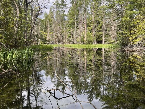 Columbus Jordan Road, Plainfield, NH 03781