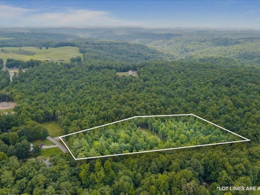 Property Image 7
