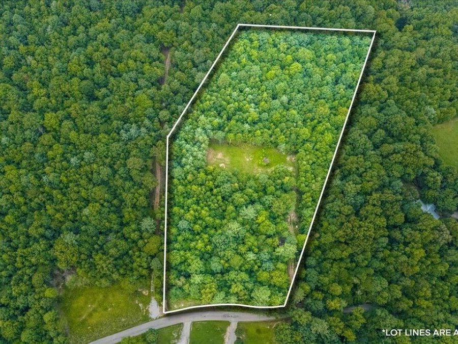 Property Image 8