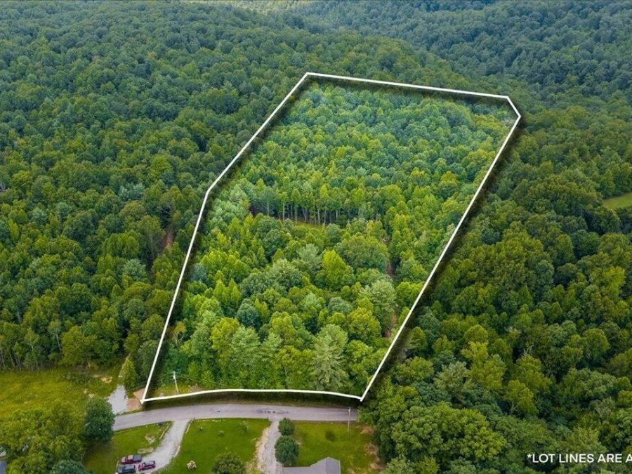 Property Image 9
