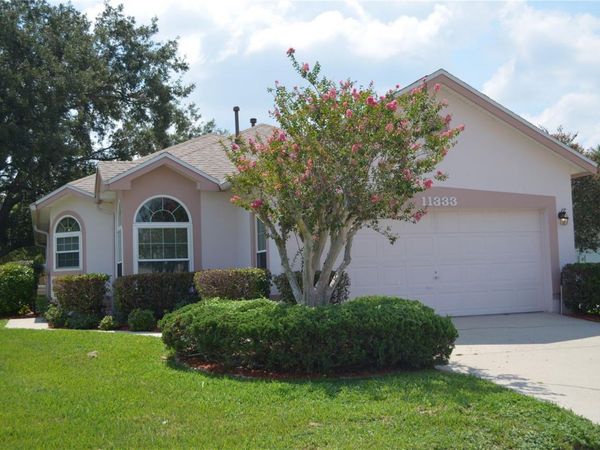 11333 PINK BLOSSOM COURT , ORLANDO, FL 32821