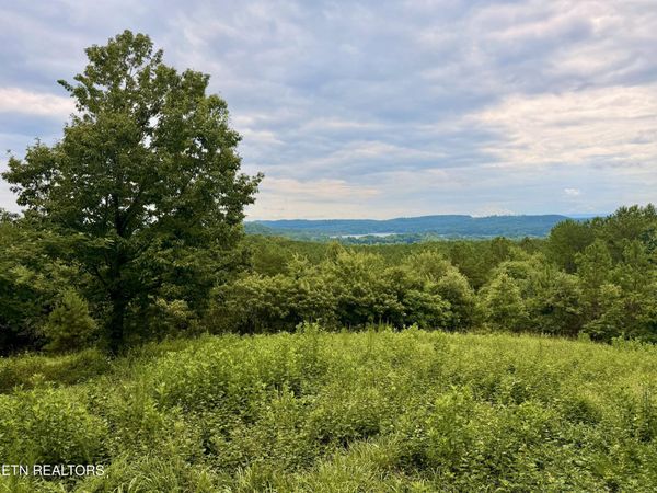 NW Eads Bluff Rd, Georgetown, TN 37336