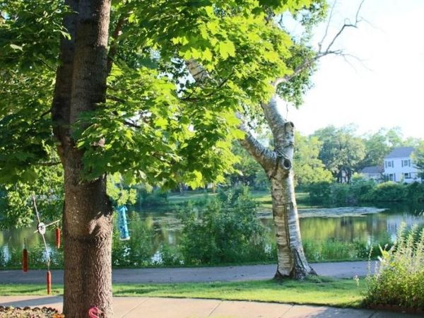 6877 Grenwich Lane N, Oakdale, MN 55128