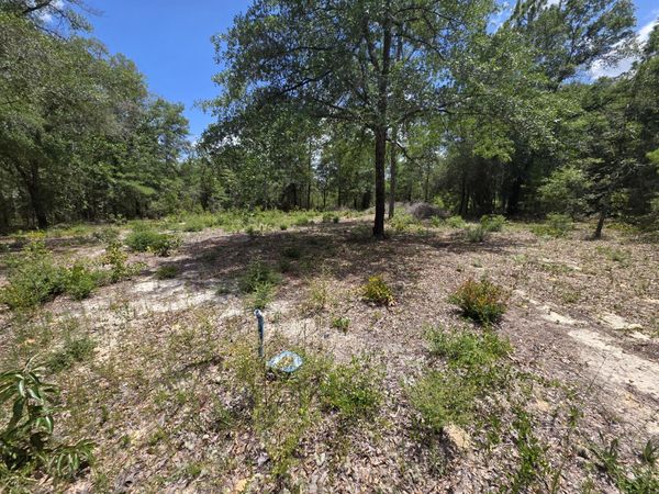 Lot 20 E Tulip East Avenue, DeFuniak Springs, FL 32433