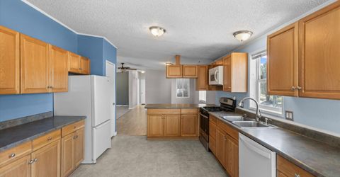 40 Wild Peach Lane, Wellington, NV 89444 Photo