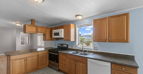 40 Wild Peach Lane, Wellington, NV 89444 Photo