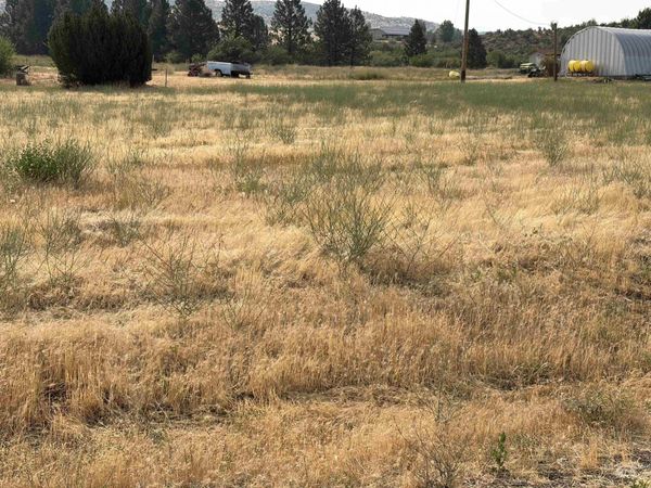 Lot 14 Blk C Fairway Drive, Council, ID 83612