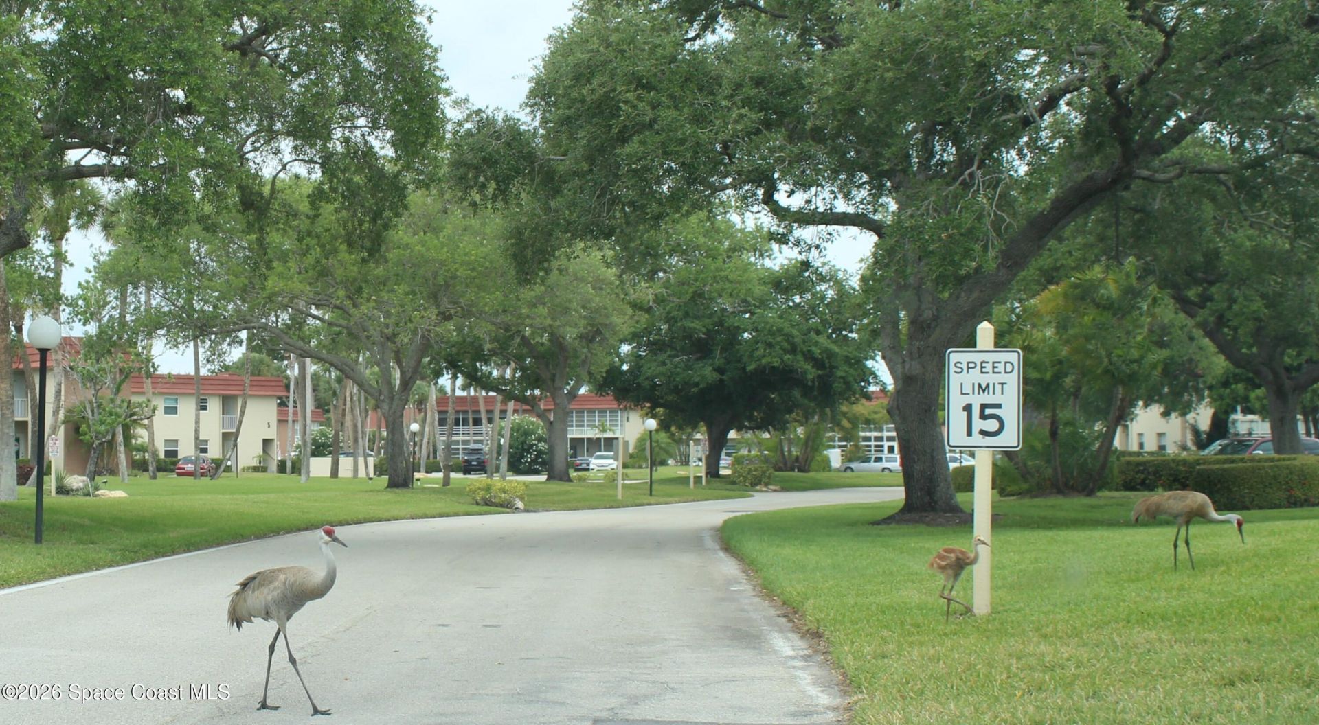 52 Woodland Drive , Unit 103, Vero Beach, FL 32962 Photo