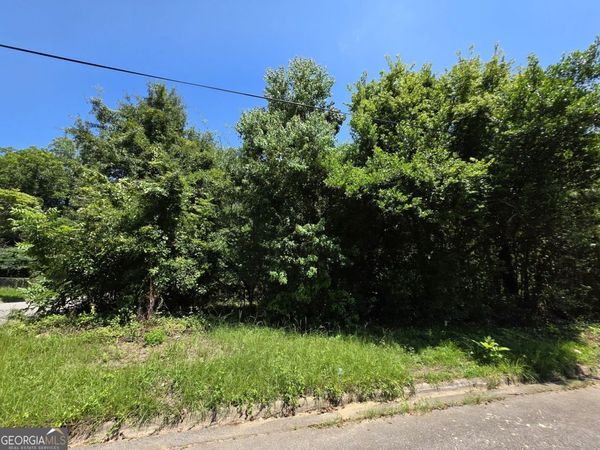 736 Peachtree Street, Macon, GA 31217