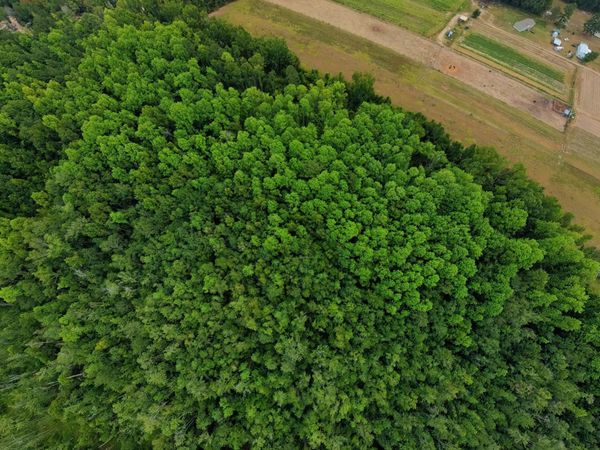 10600 Us Highway 80 E, Brooklet, GA 30415