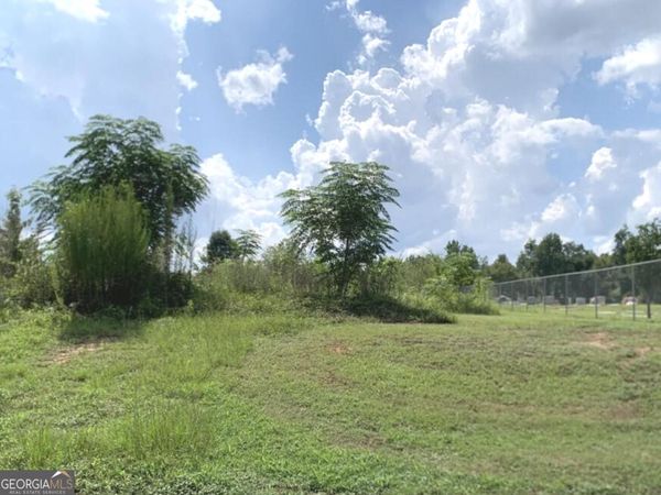 0 Murphy Street, Midville, GA 30441