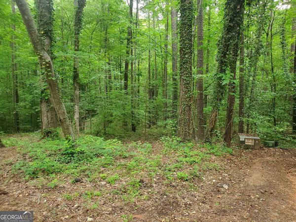 00 W Mourning Dove Court, Monticello, GA 31064