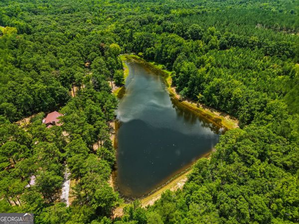 1202 Eddie Martin Road, Buena Vista, GA 31803