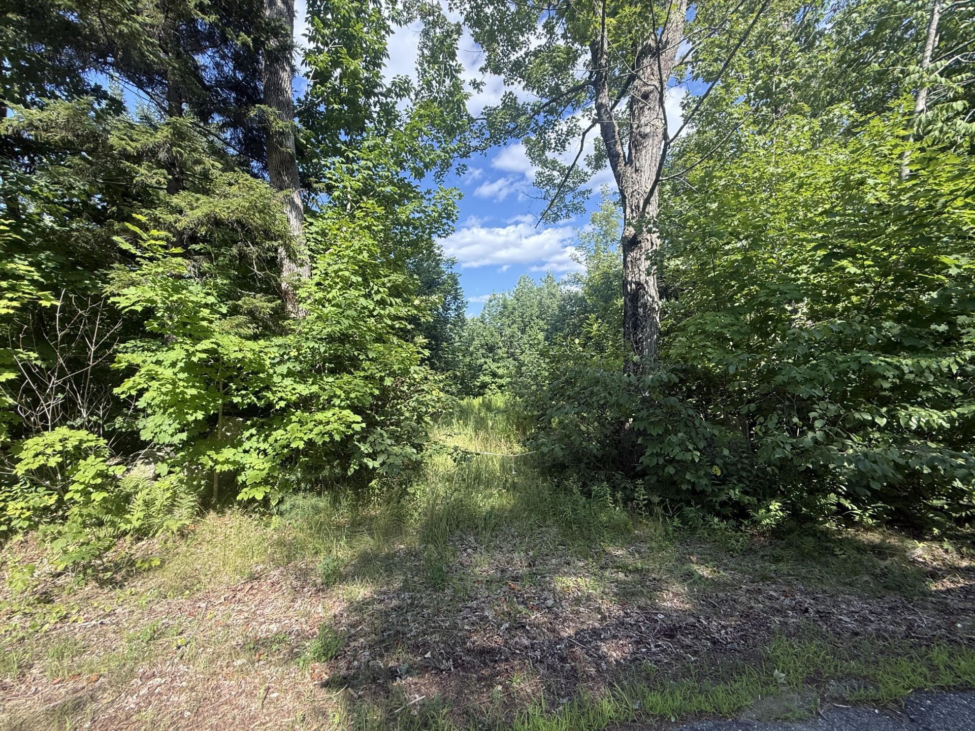 5 Black Road N, Searsport, ME 04974 Main Photo
