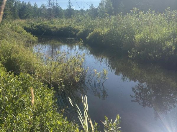 Map5/Lot53 Bangor Road , Troy, ME 04987