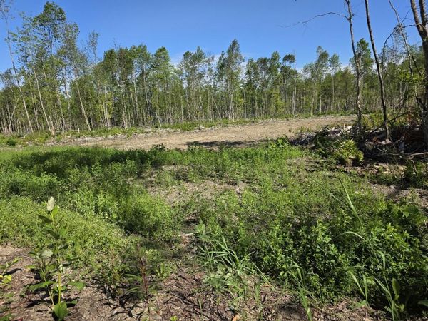 lot 27 Williams Road , Amity, ME 04471