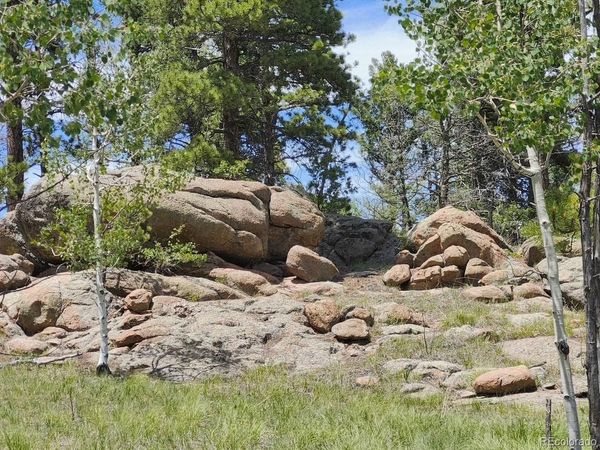501 Cr-403 , Florissant, CO 80816