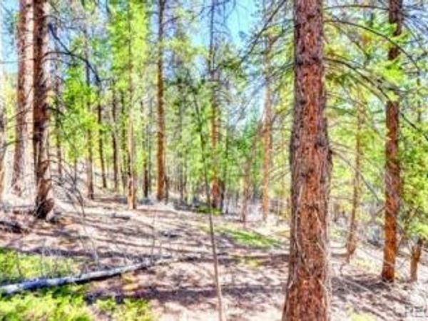 2222 Swift Claim Road , Georgetown, CO 80444