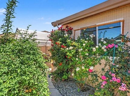 327 Manor Dr, Ione, CA 95640 Photo