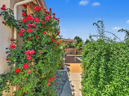 327 Manor Dr, Ione, CA 95640 Photo