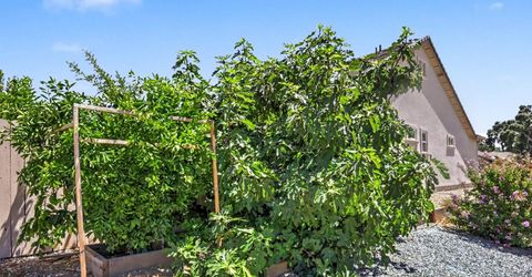 327 Manor Dr, Ione, CA 95640 Photo