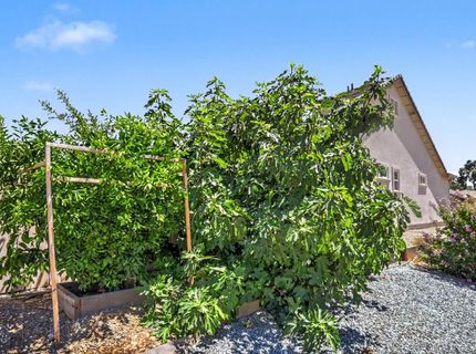 327 Manor Dr, Ione, CA 95640 Photo