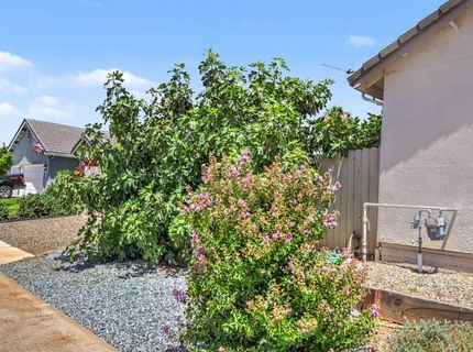 327 Manor Dr, Ione, CA 95640 Photo