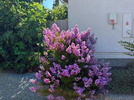 327 Manor Dr, Ione, CA 95640 Photo