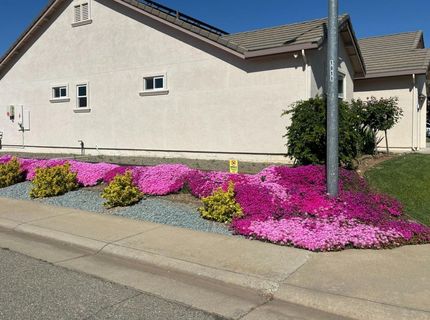 327 Manor Dr, Ione, CA 95640 Photo