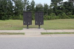 114 Tall Pines Drive photo 4
