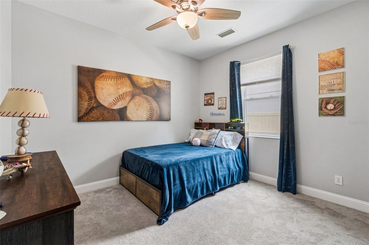 21500 Cormorant Cove Drive, Land O Lakes, FL 34637 Photo