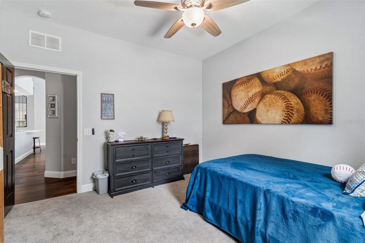 21500 Cormorant Cove Drive, Land O Lakes, FL 34637 Photo