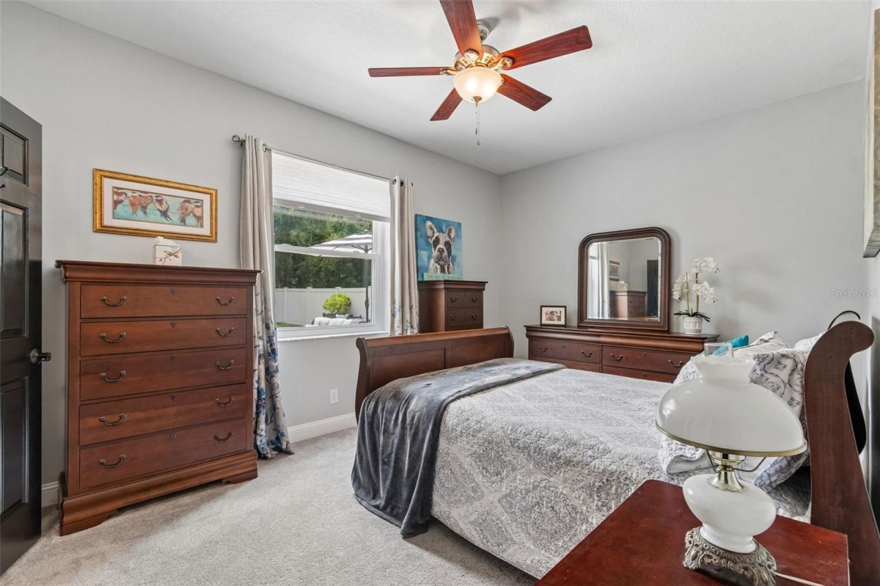 21500 Cormorant Cove Drive, Land O Lakes, FL 34637 Photo