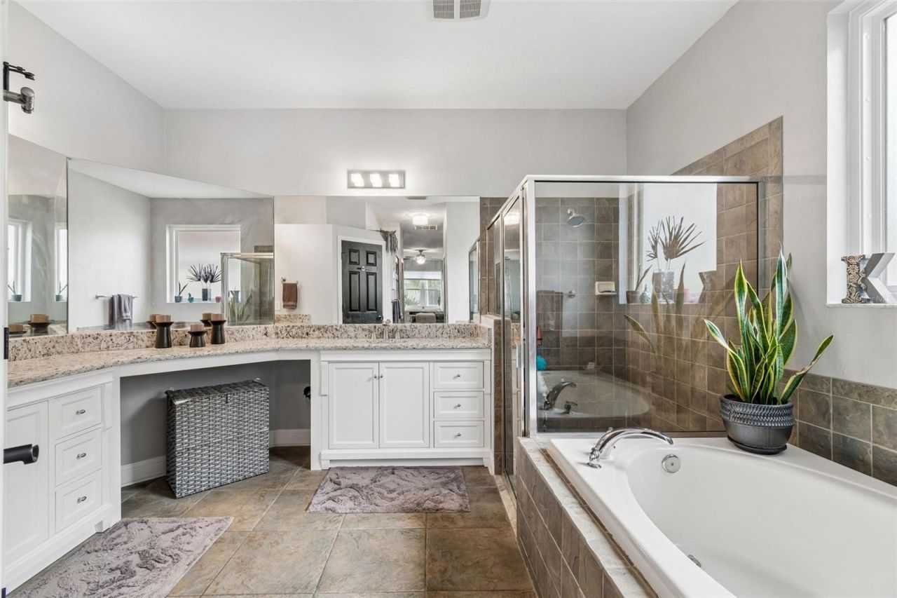 21500 Cormorant Cove Drive, Land O Lakes, FL 34637 Photo