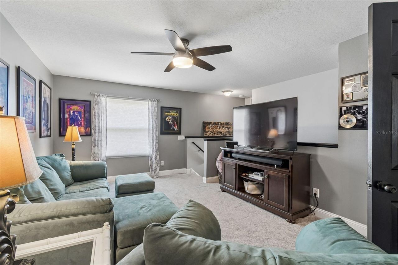 21500 Cormorant Cove Drive, Land O Lakes, FL 34637 Photo
