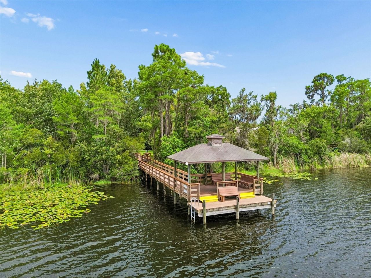 21500 Cormorant Cove Drive, Land O Lakes, FL 34637 Photo