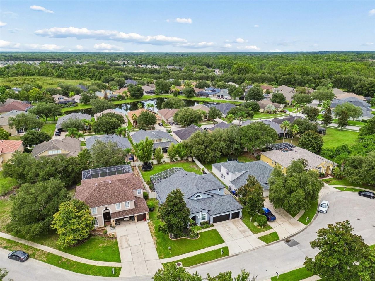 21500 Cormorant Cove Drive, Land O Lakes, FL 34637 Photo