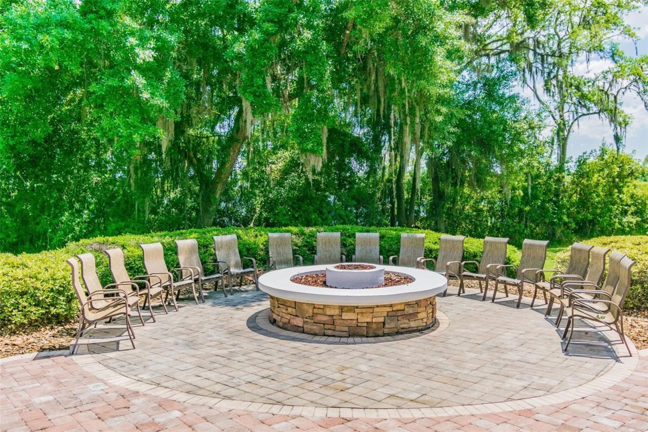 21500 Cormorant Cove Drive, Land O Lakes, FL 34637 Photo